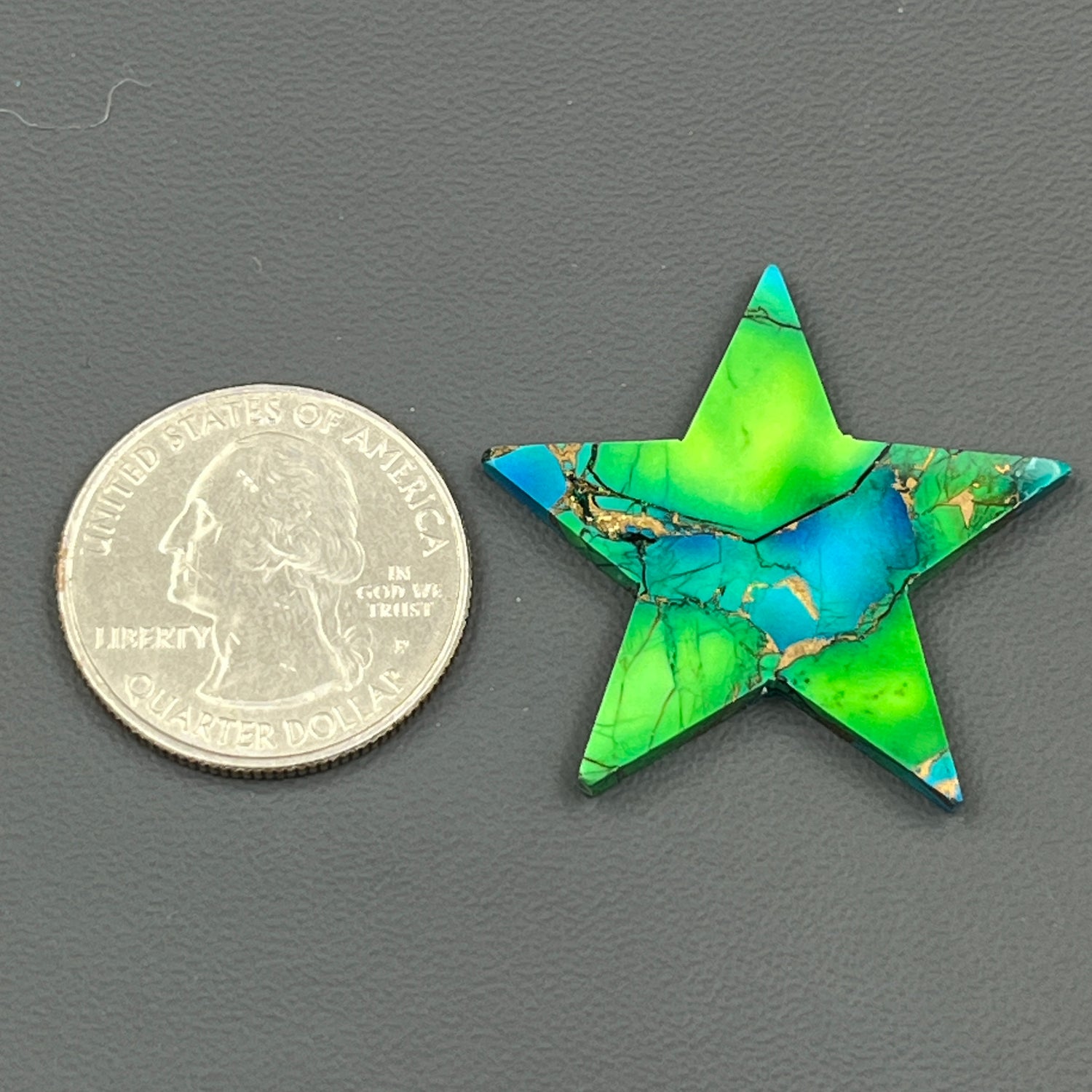 Kingman Peacock Dahlia - Loose Cab - Star