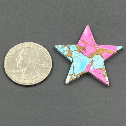 Kingman Cotton Candy  Dahlia - Loose Cab - Star