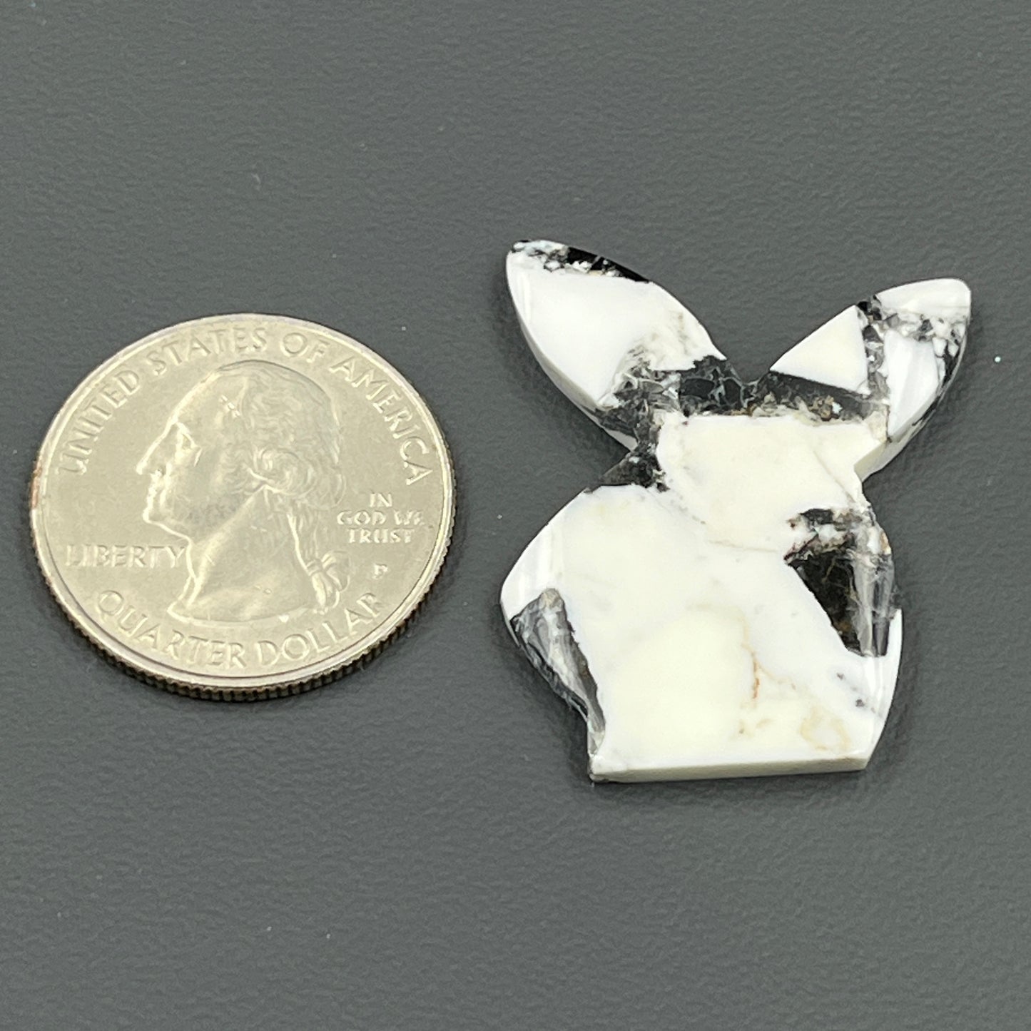Kingman White Buffalo Turquoise - Loose Cab - Bunny
