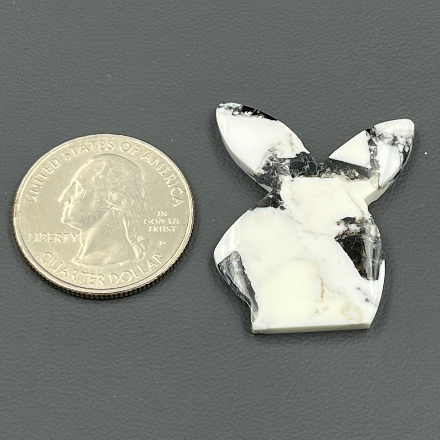 Kingman White Buffalo Turquoise - Loose Cab - Bunny