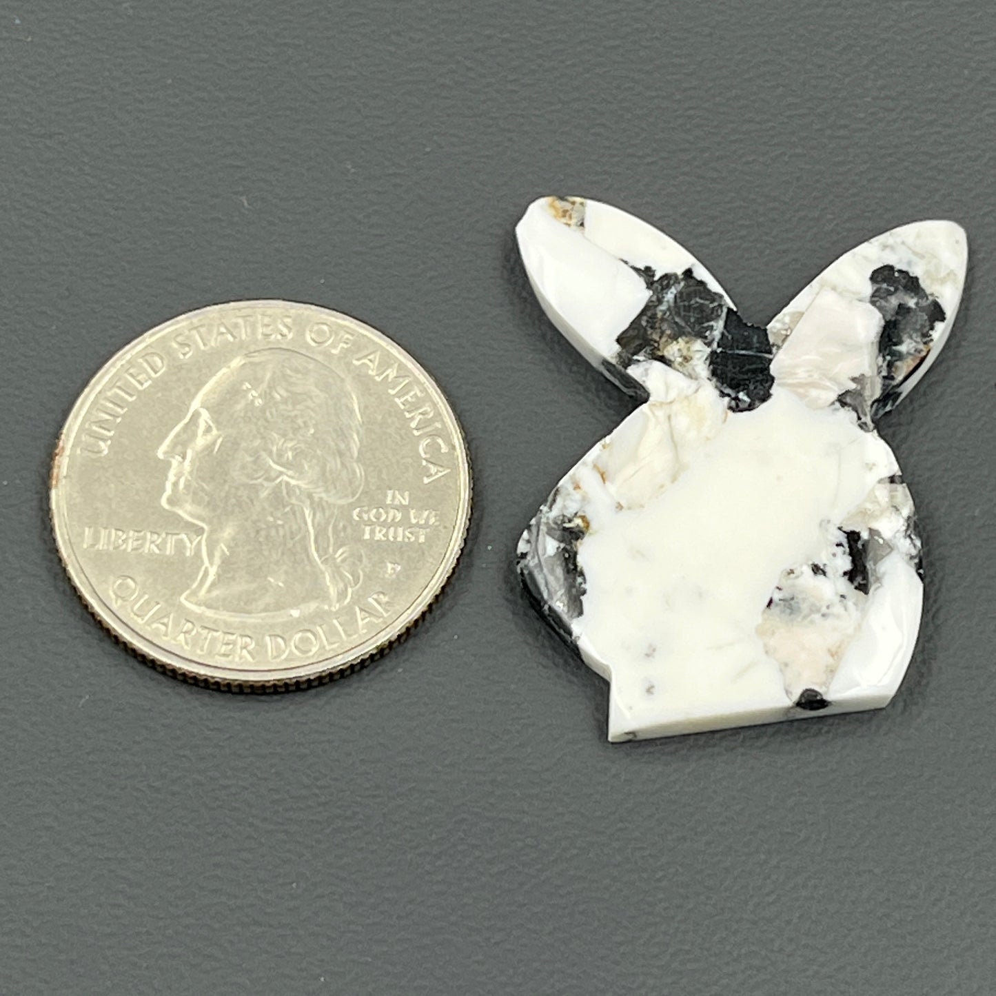 Kingman White Buffalo Turquoise - Loose Cab - Bunny