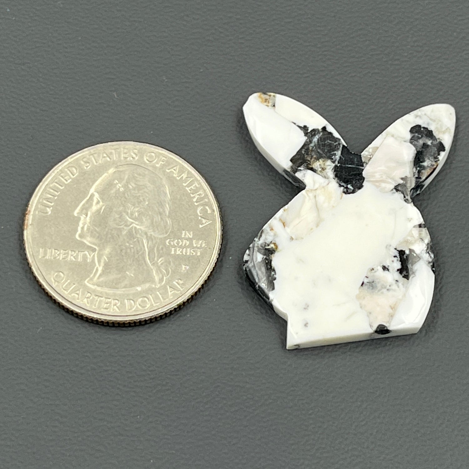 Kingman White Buffalo Turquoise - Loose Cab - Bunny