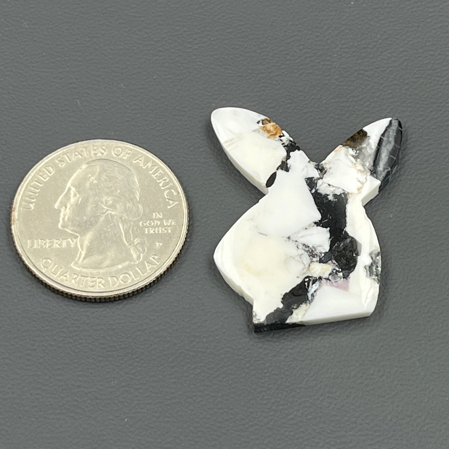 Kingman White Buffalo Turquoise - Loose Cab - Bunny