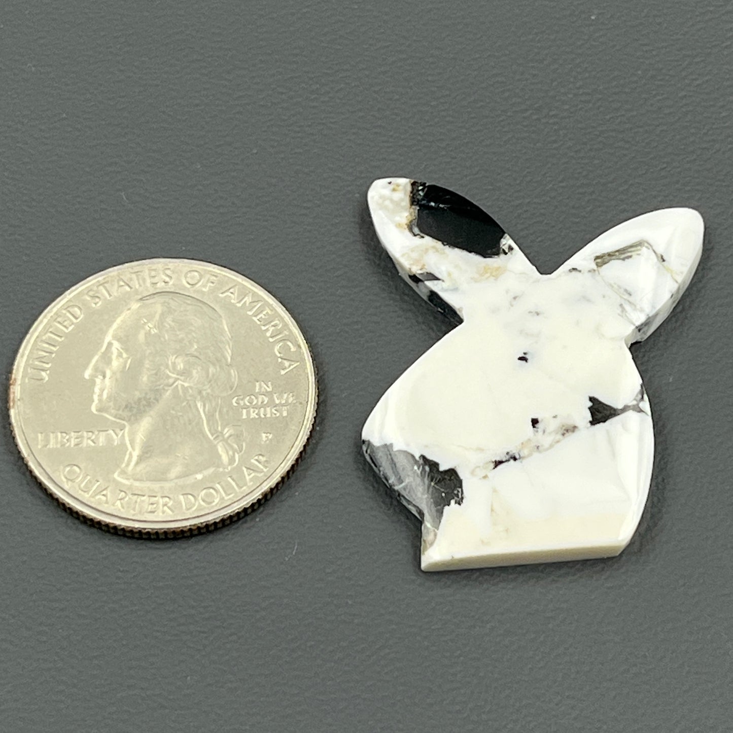Kingman White Buffalo Turquoise - Loose Cab - Bunny