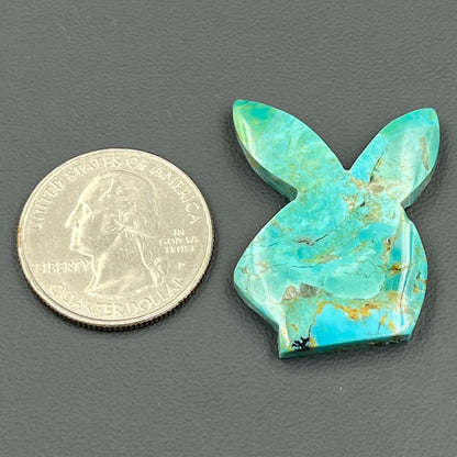 Kingman Turquoise Mohave - Loose Cab - Bunny