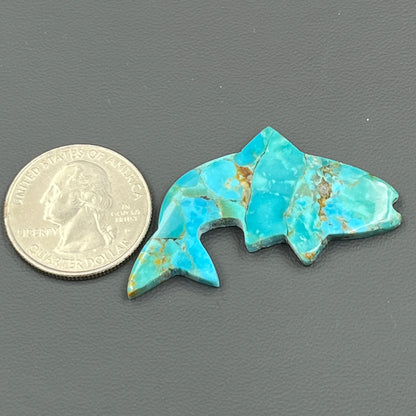 Kingman Mohave Turquoise - Loose Cab - Dolphin