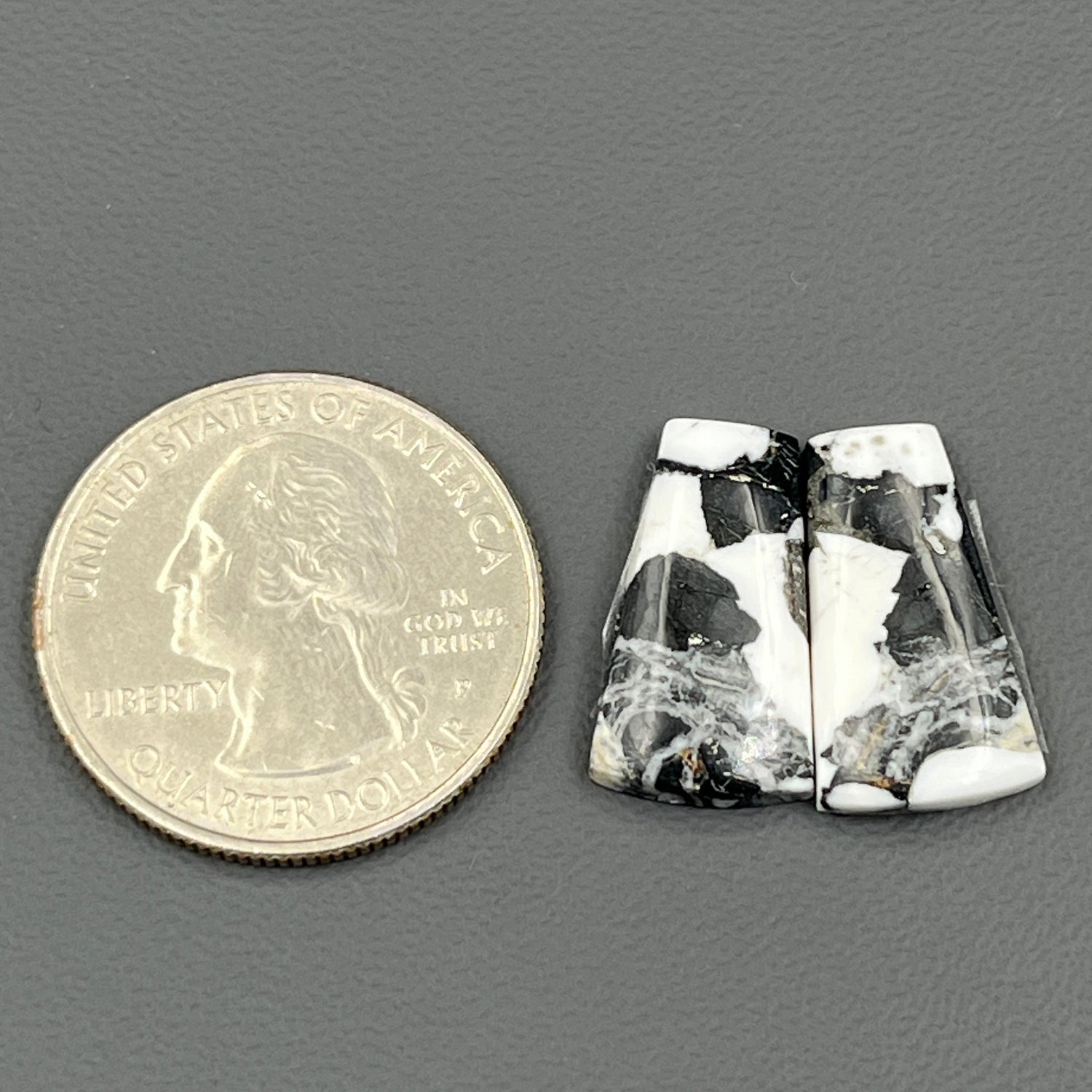 Kingman White Buffalo Turquoise - Matching Pairs - Tumble
