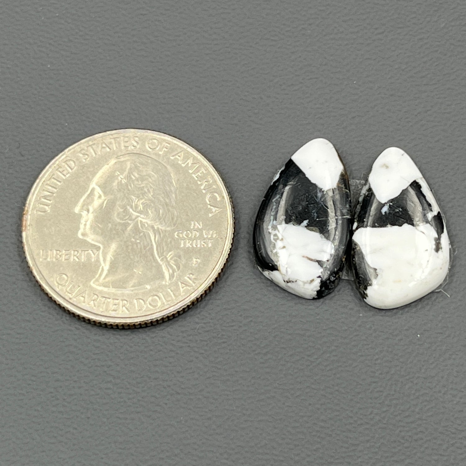 Kingman White Buffalo Turquoise - Matching Pairs - Tumble