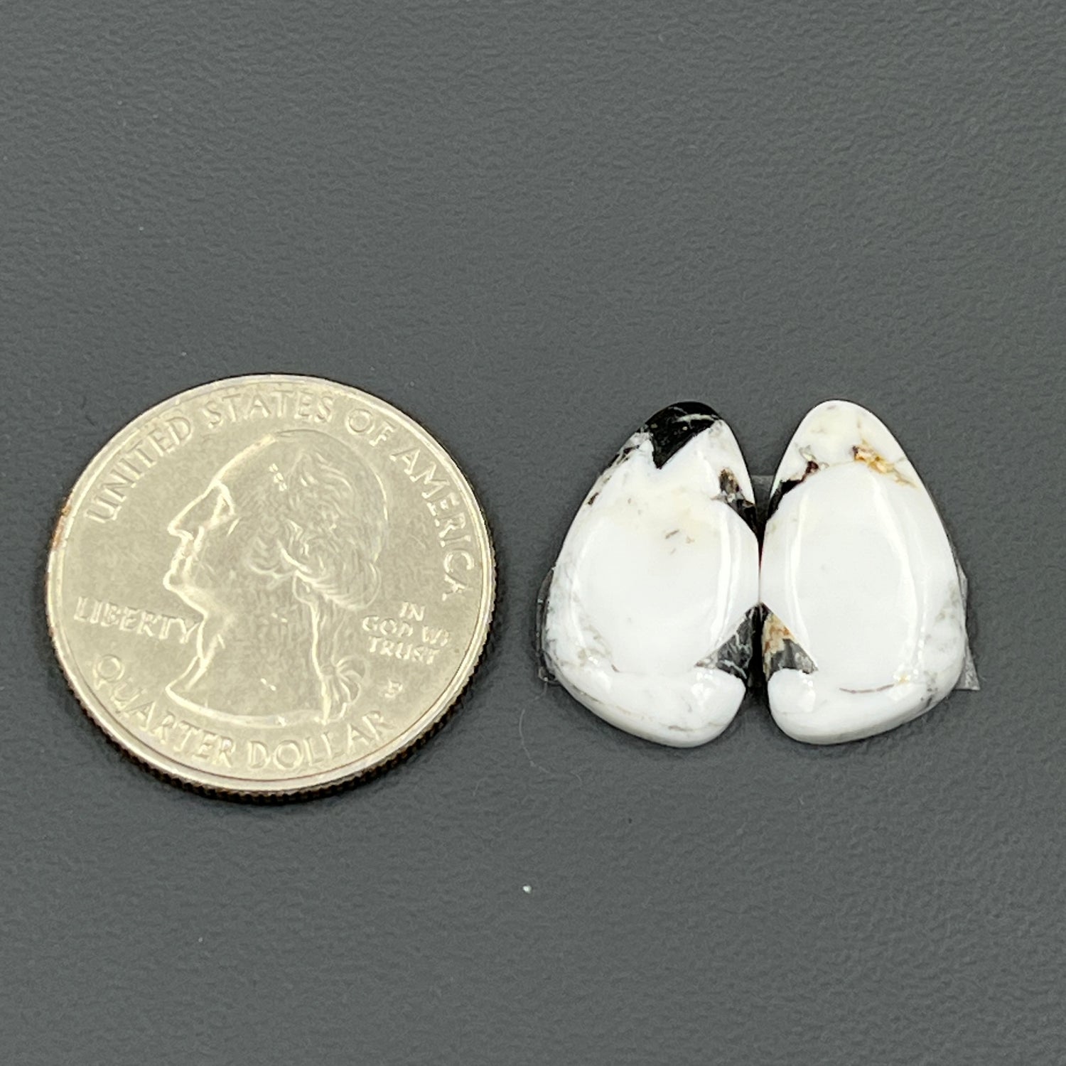 Kingman White Buffalo Turquoise - Matching Pairs - Tumble