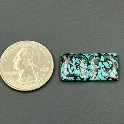 Hubei Turquoise - Matching Pairs - Cushion