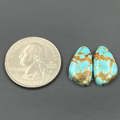 Number #8 Turquoise - Matching Pairs - Tumble