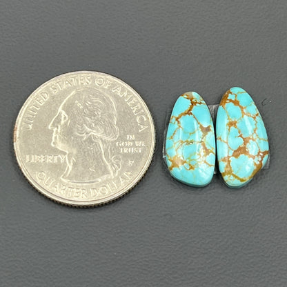Number #8 Turquoise - Matching Pairs - Tumble
