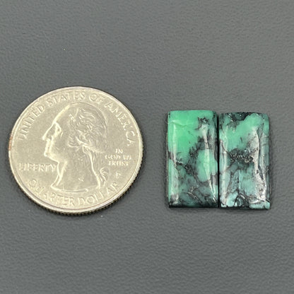 Black Bridge Variscite - Matching Pairs - Baguette