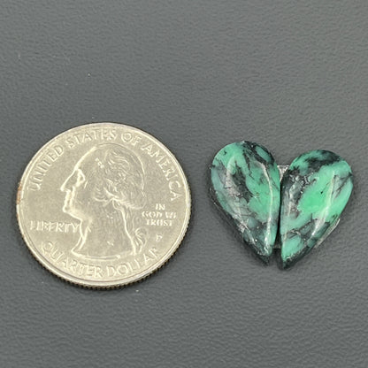 Black Bridge Variscite - Matching Pairs - Teardrop