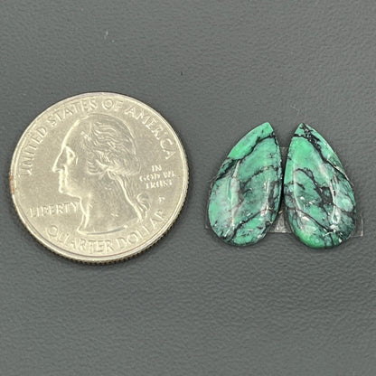 Black Bridge Variscite - Matching Pairs - Teardrop