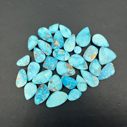 Blue Bird Turquoise - Loose Cabs - Wholesale Lot - 31 Pcs