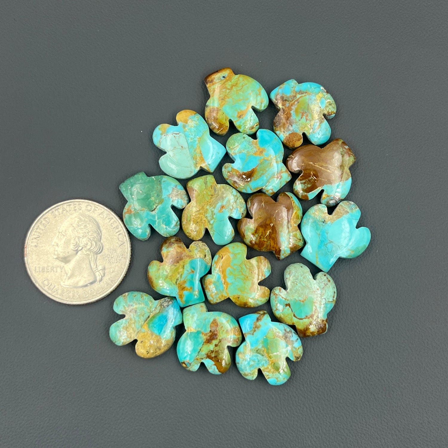Kingman Turquoise Mohave - Cactus Wholesale Lot - 15 Pcs