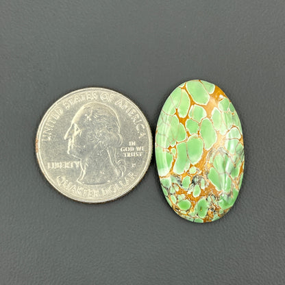 Variscite Green Turquoise Cabochon - Oval